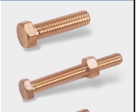 Brass Bolts