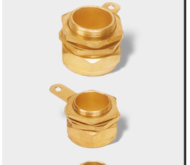 CW parts Cable Glands 